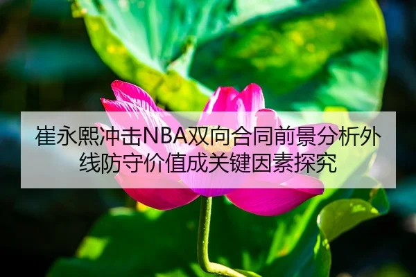 崔永熙冲击NBA双向合同前景分析外线防守价值成关键因素探究